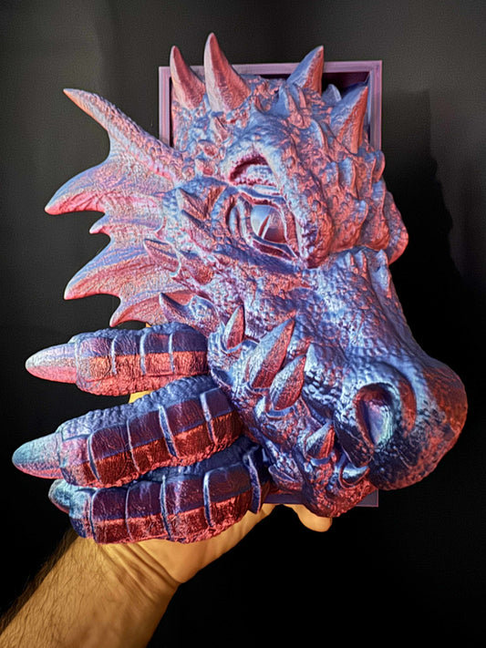 Storm Dragon Book Nook