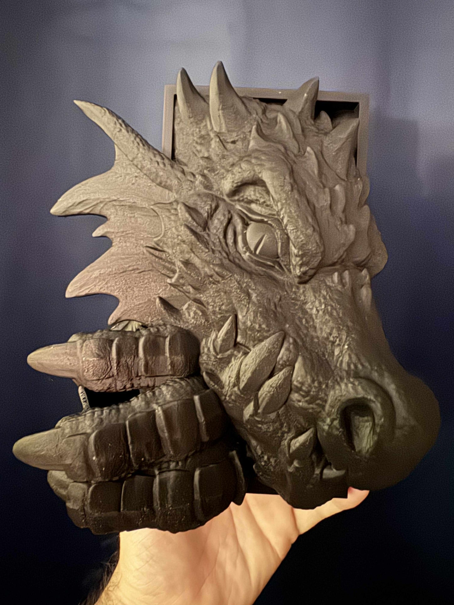 Storm Dragon Book Nook