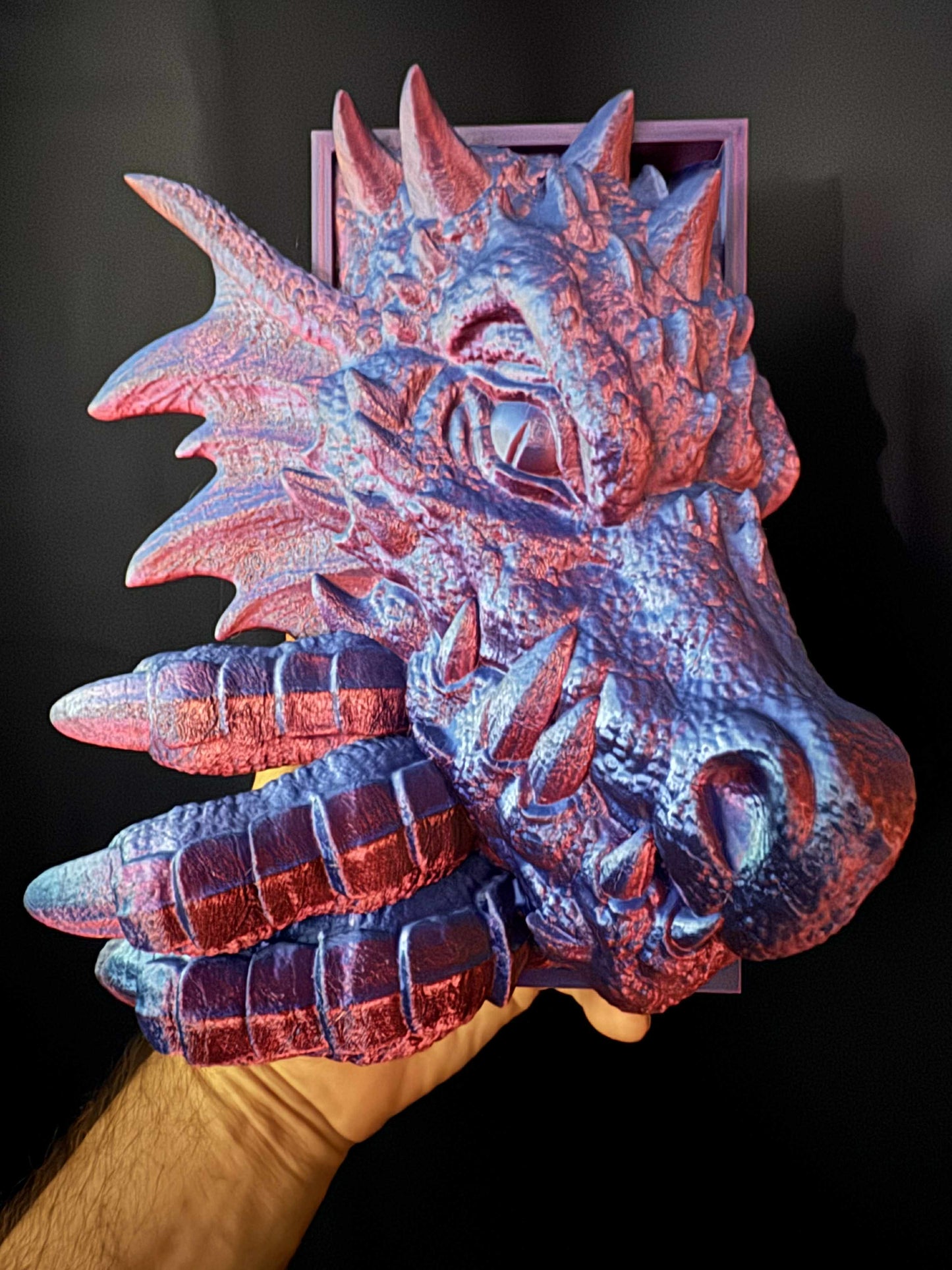 Storm Dragon Book Nook