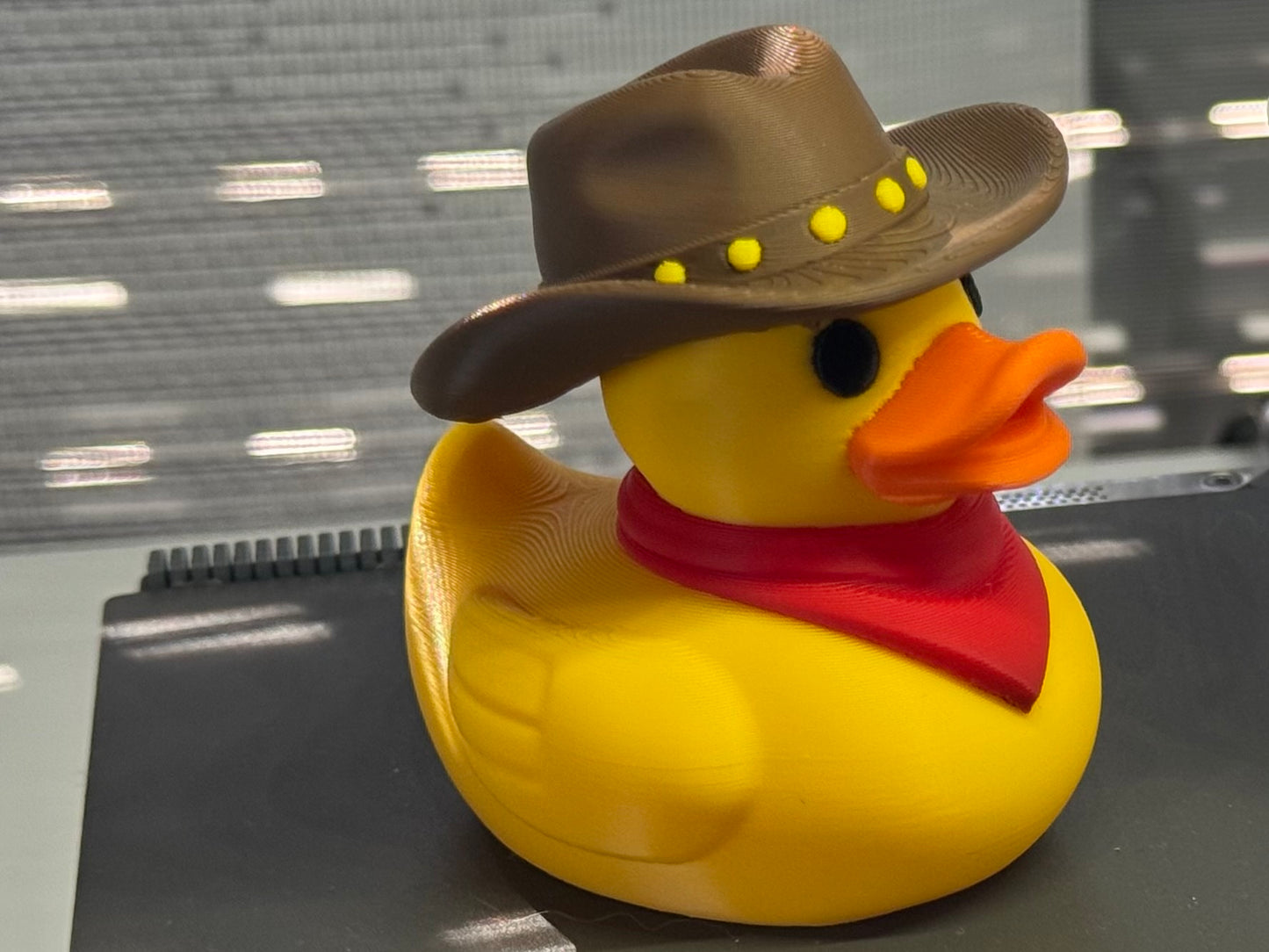 Cowboy Duck