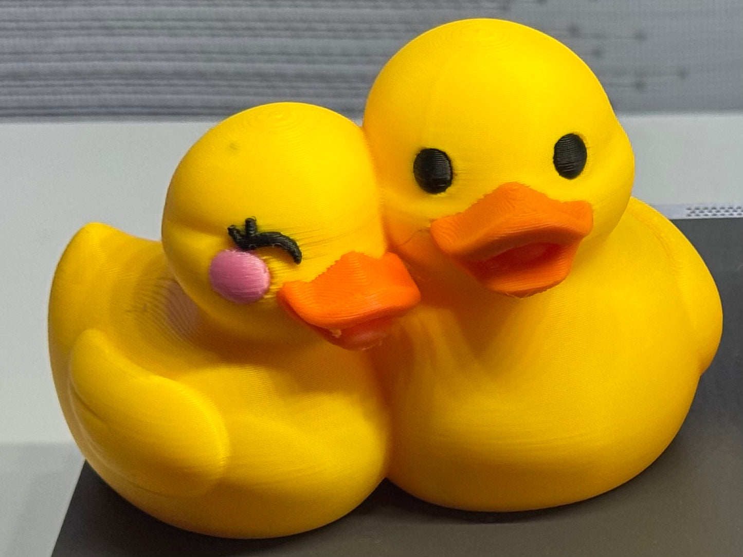 Cute Couple Duck