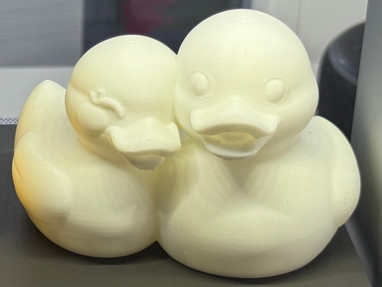 Cute Couple Duck