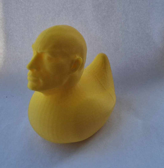 Dwayne the Duck Johnson