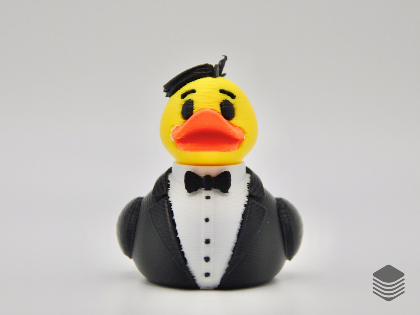 Groom Duck