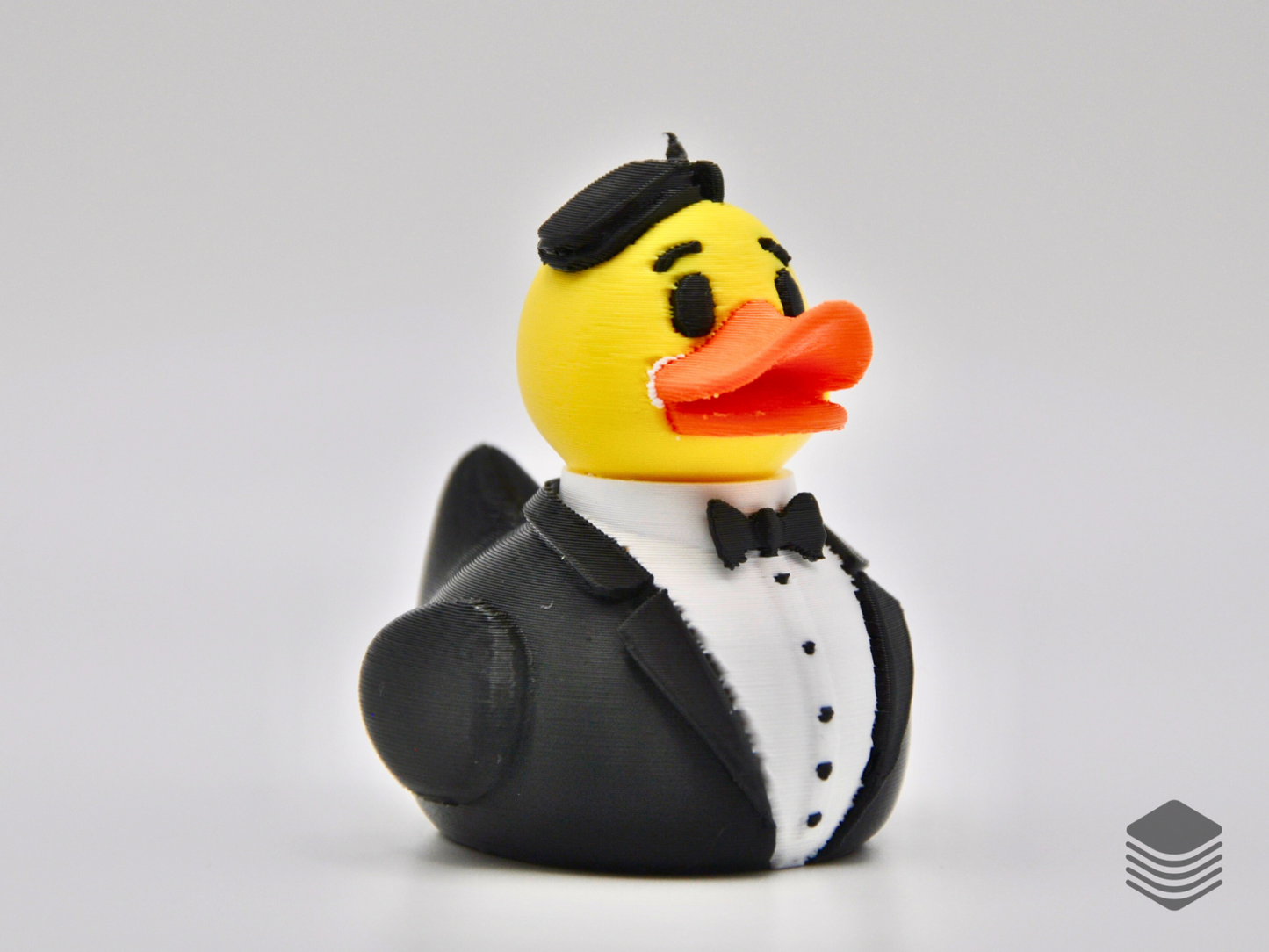 Groom Duck