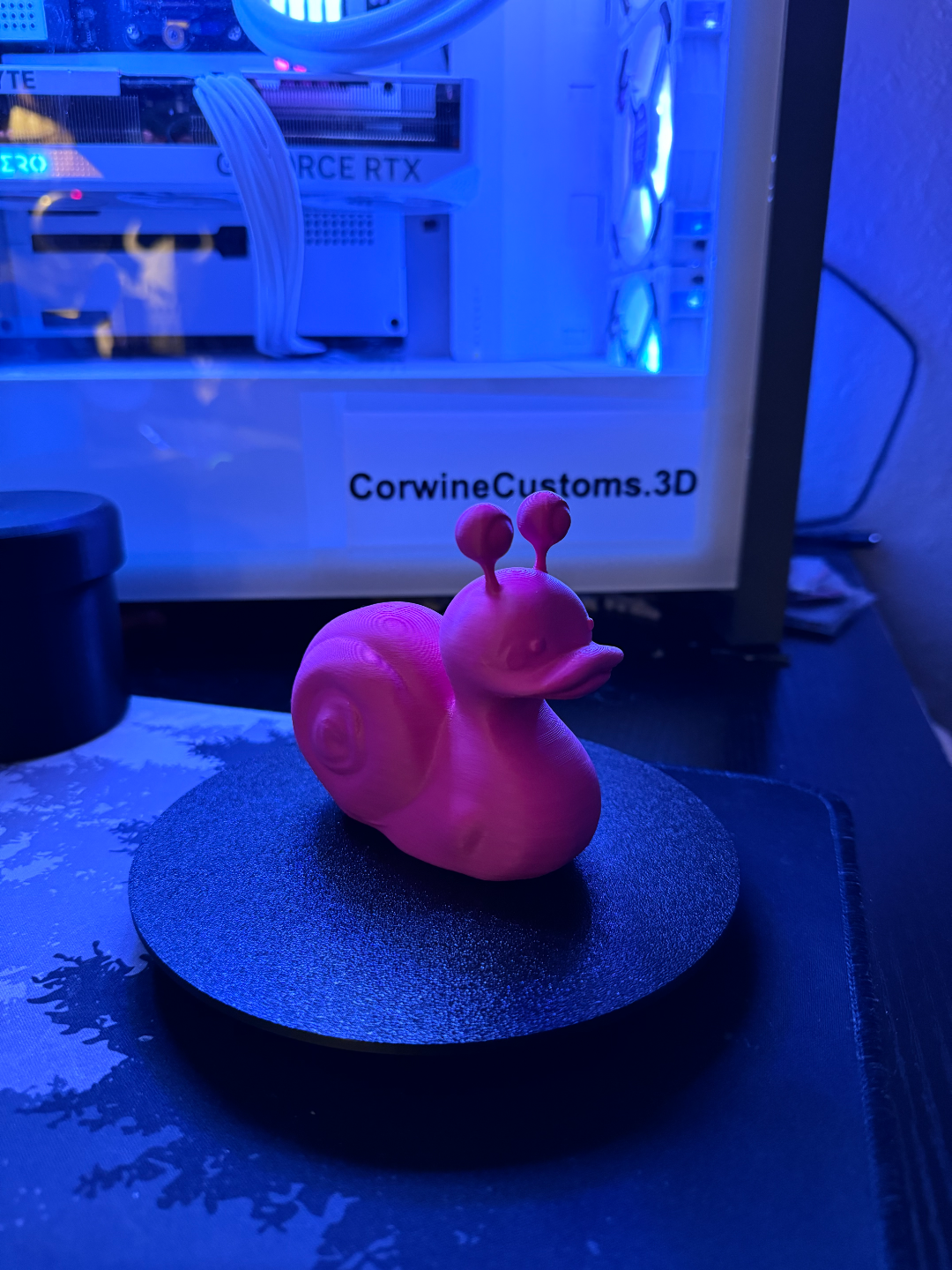 Snail Duck