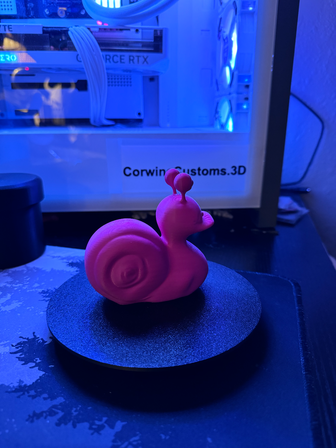 Snail Duck