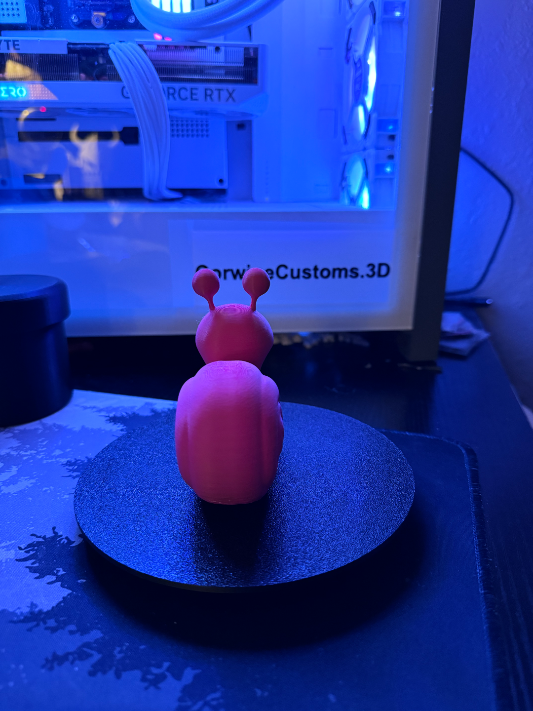 Snail Duck