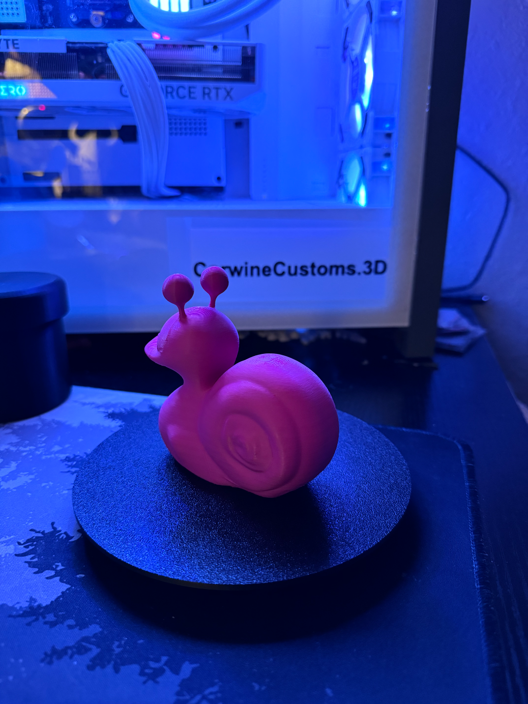 Snail Duck