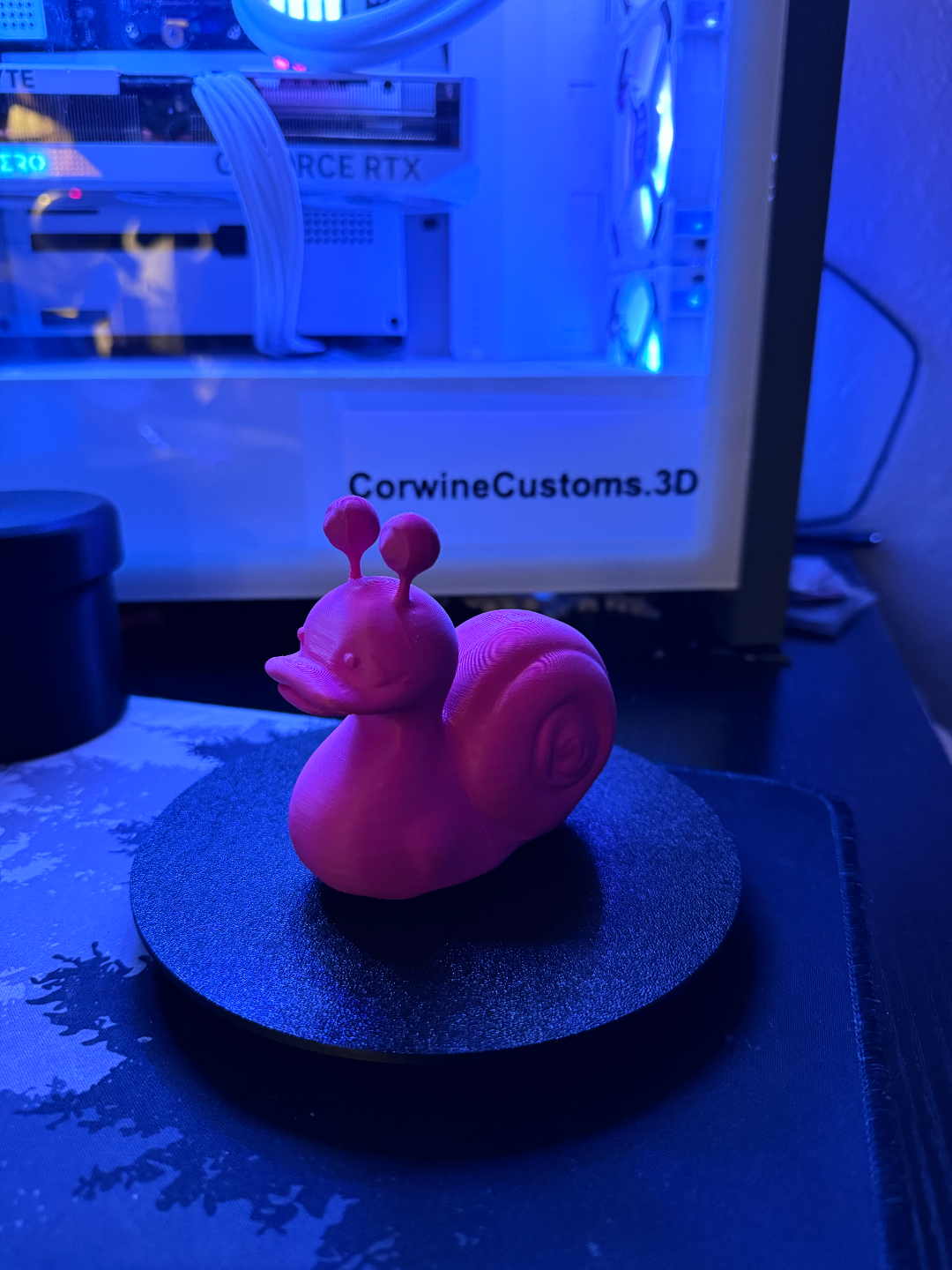 Snail Duck