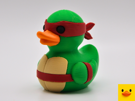 Teenage Mutant Ninja Turtle Duck